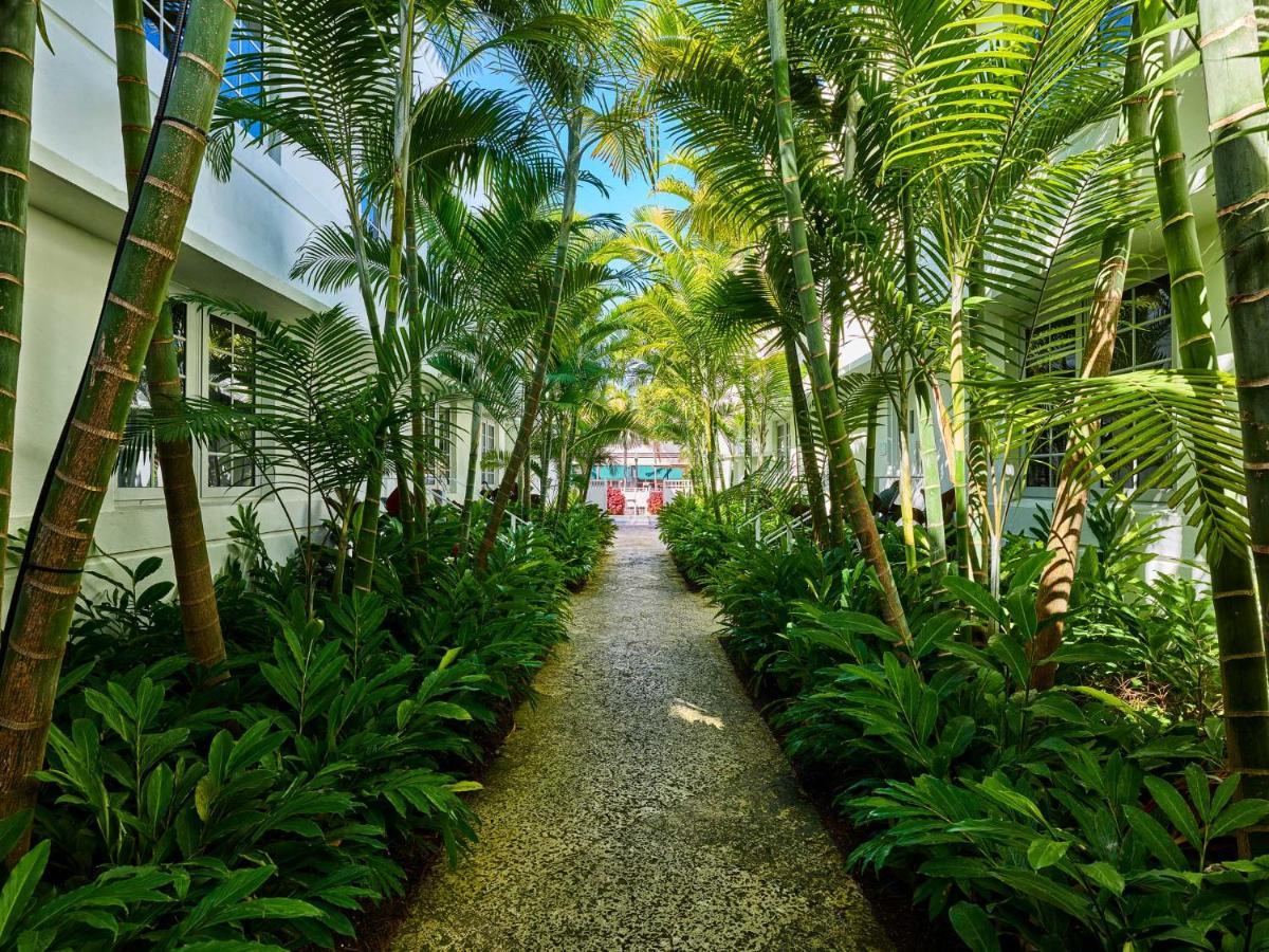 Axel Beach Miami-South Beach - Adults Only Маямі-Біч Екстер'єр фото